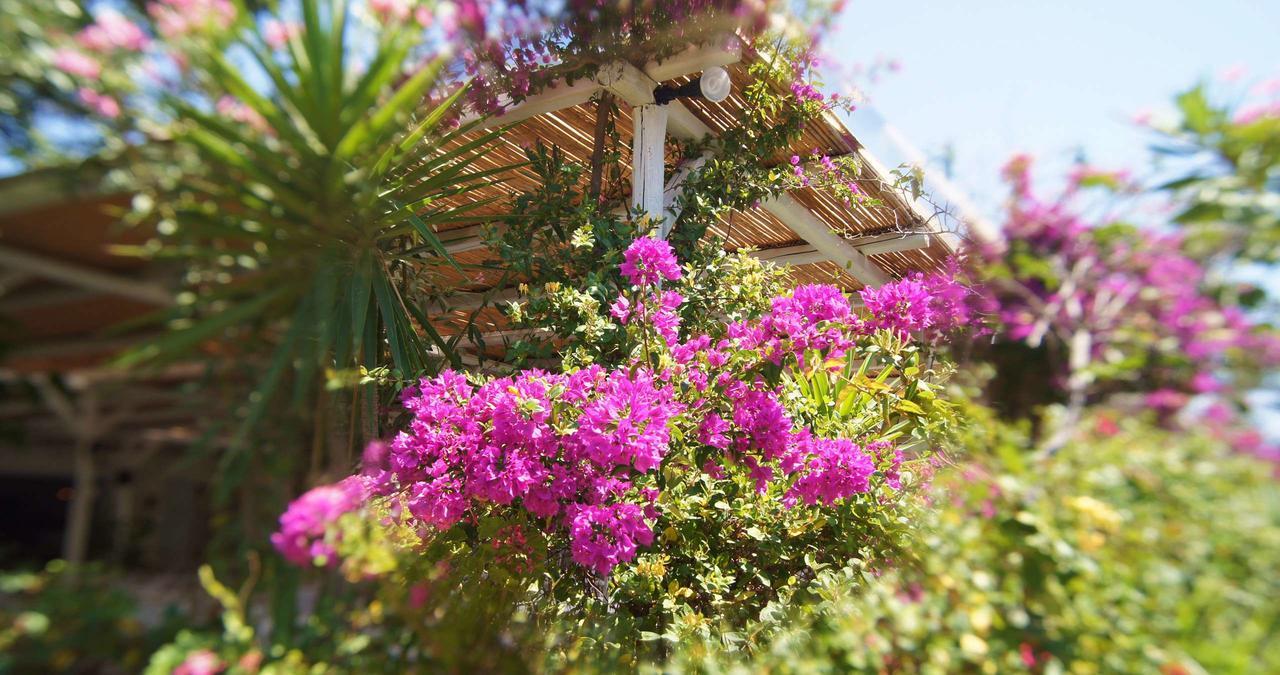 Dreams4You Лампи Экстерьер фото